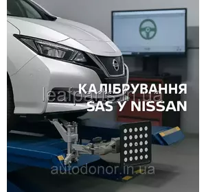 Нюанси для Nissan EV/e-POWER + заміна тяг/наконечників/шарових Нюанси для Nissan EV/e-POWER + заміна тяг/наконечників/шарових