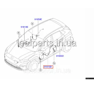 Проводка двері задня ліва Hyundai Kona Electric (17-) 91631K4120 Проводка двері задня ліва Hyundai Kona Electric (17-) 91631K4120