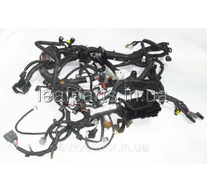 Дріт підкапотний Nissan Leaf ZE0 (10-12) 24012-3NA1A Дріт підкапотний Nissan Leaf ZE0 (10-12) 24012-3NA1A
