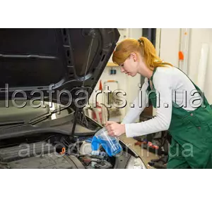 Заміна рідини (антифризу) системи охолодження електромобіля Nissan, включно з контуром тягової батареї Заміна рідини (антифризу) системи охолодження електромобіля Nissan, включно з контуром тягової батареї